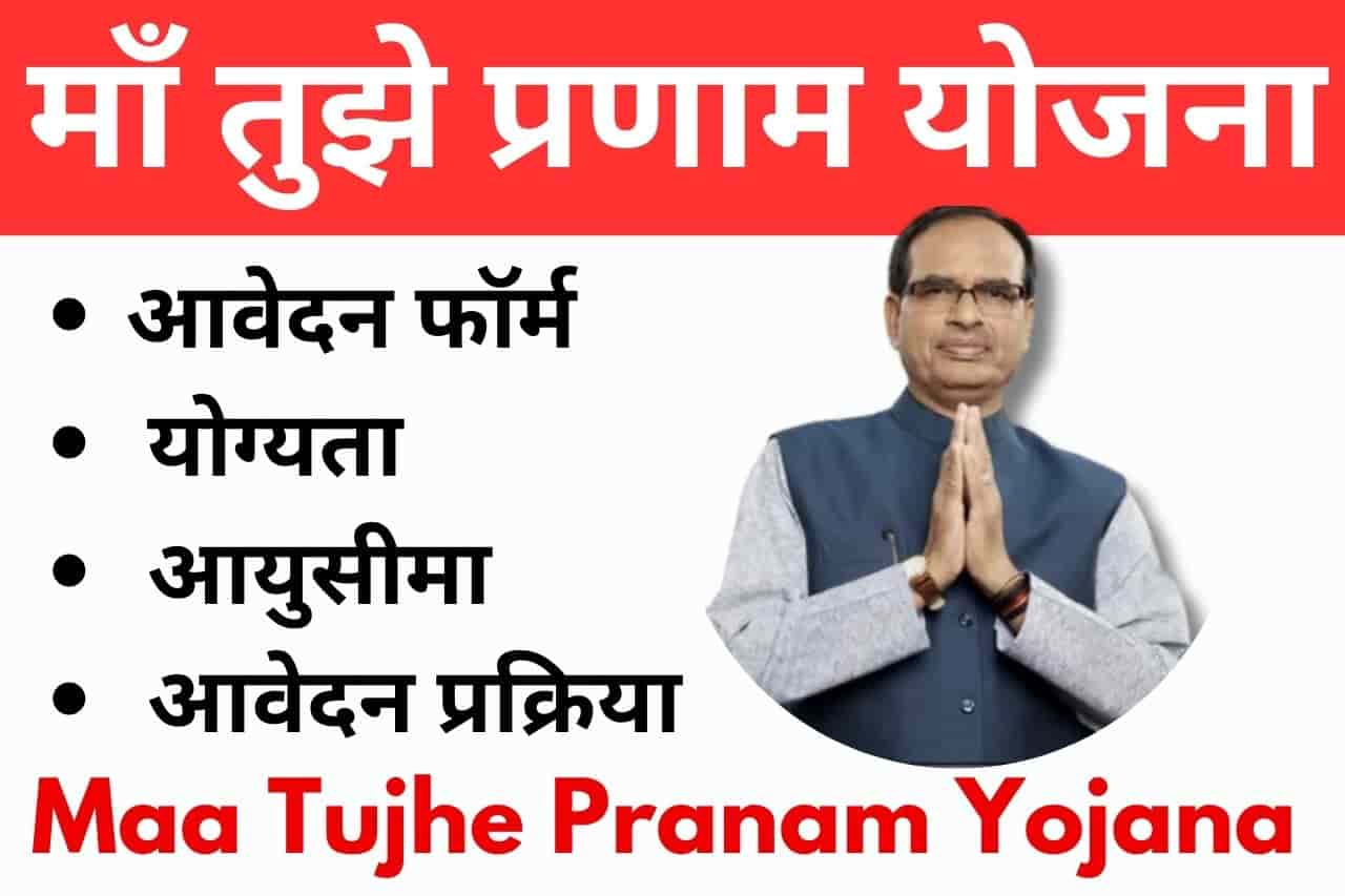 Government scheme application details